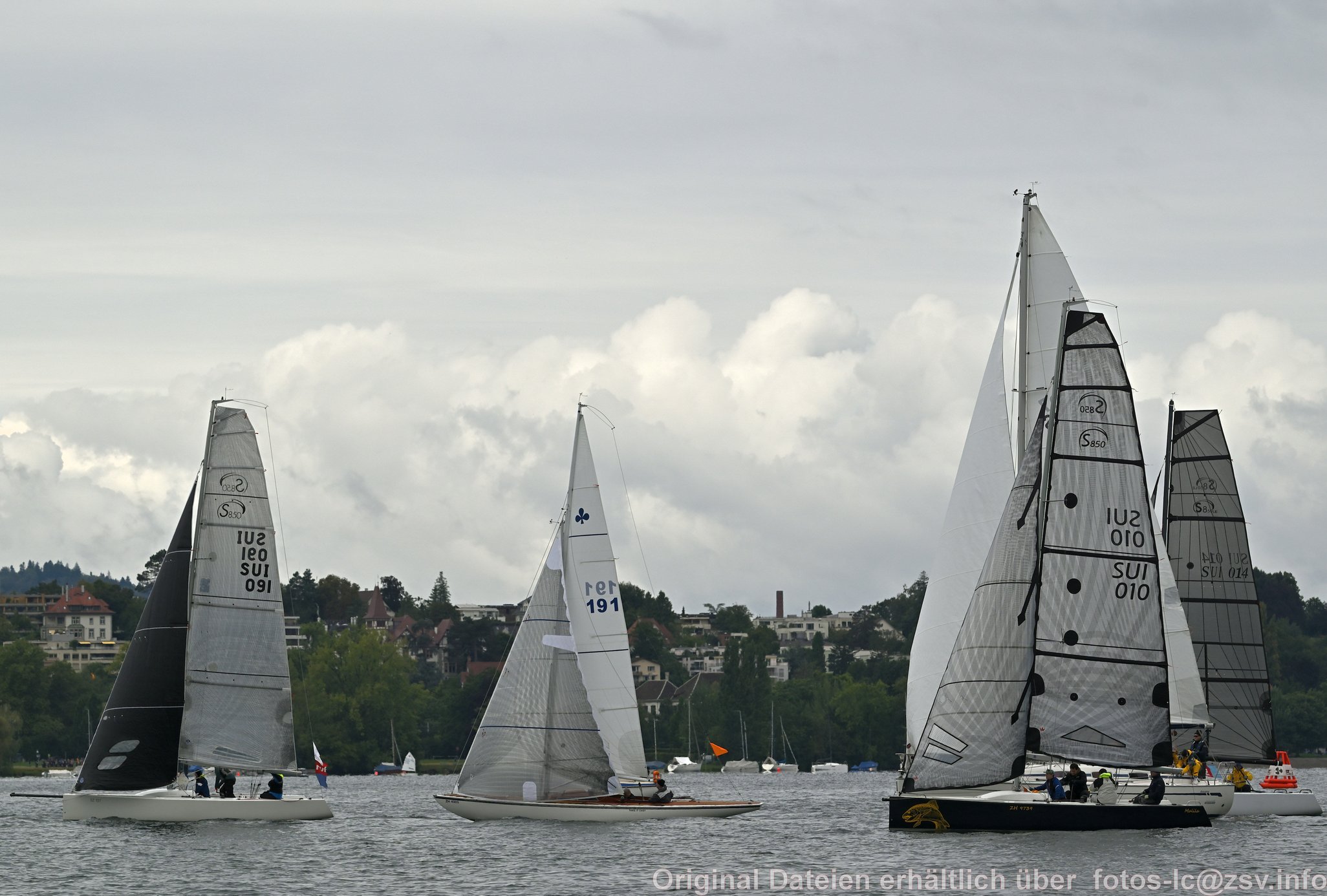 2024 09 14 Zürich Horgen Zürich-107.jpg